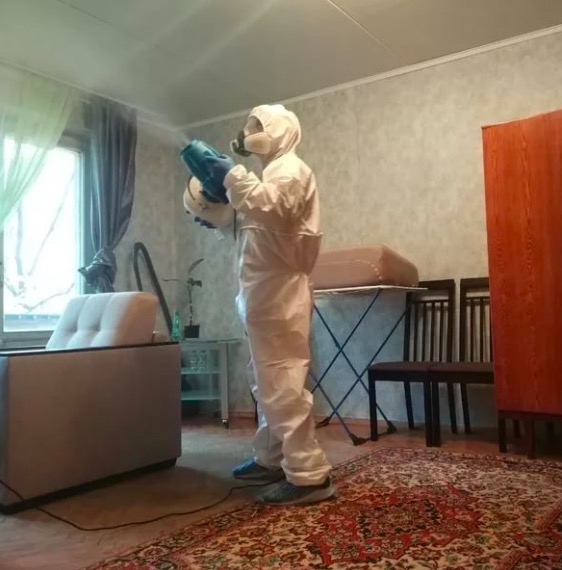 дезинсекция квартиры в Курске
